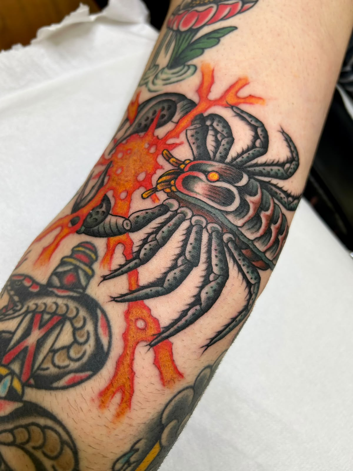 Tatuaje 3: tradicional en color por Ober en Frio Norte Tattoo, Vigo